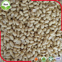 Whole Blanched Peanut Kernel 29/33